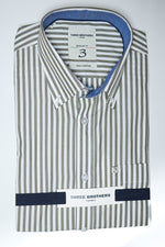 Camicia Button Down Regular Riga Larga | Verde 91