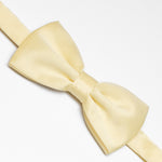 Nœud papillon de couleur unie | Or clair